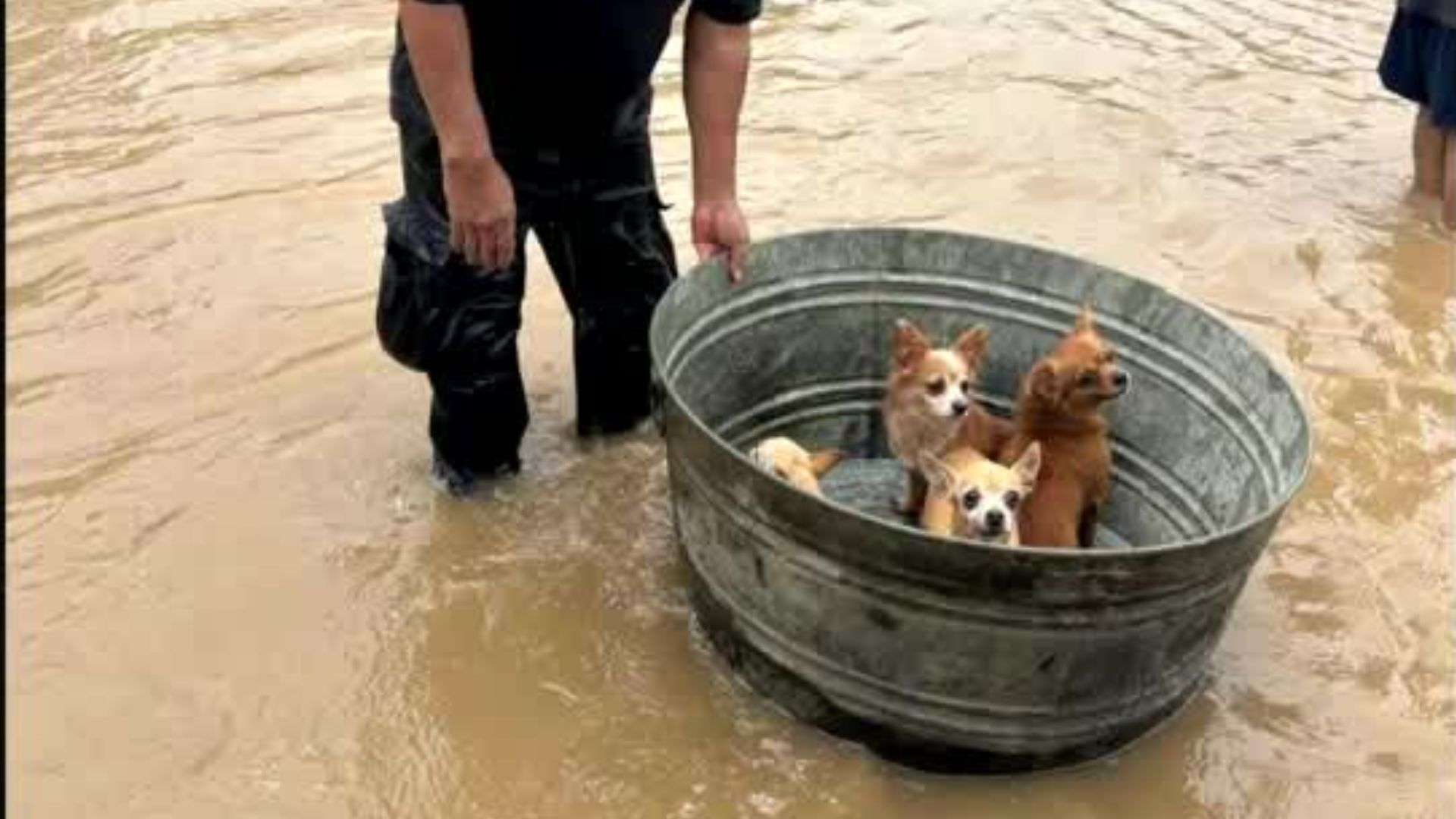 Autoridades aplican plan DN-III-E en San Luis Potosí debido a las fuertes lluvias en el estado