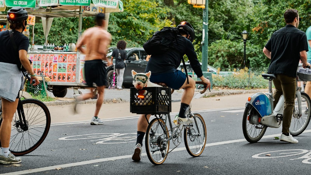 El caos aumentó con la incorporación de ciclistas en bicicletas eléctricas a las calzadas del parque, ya de por sí muy transitadas. | NYT