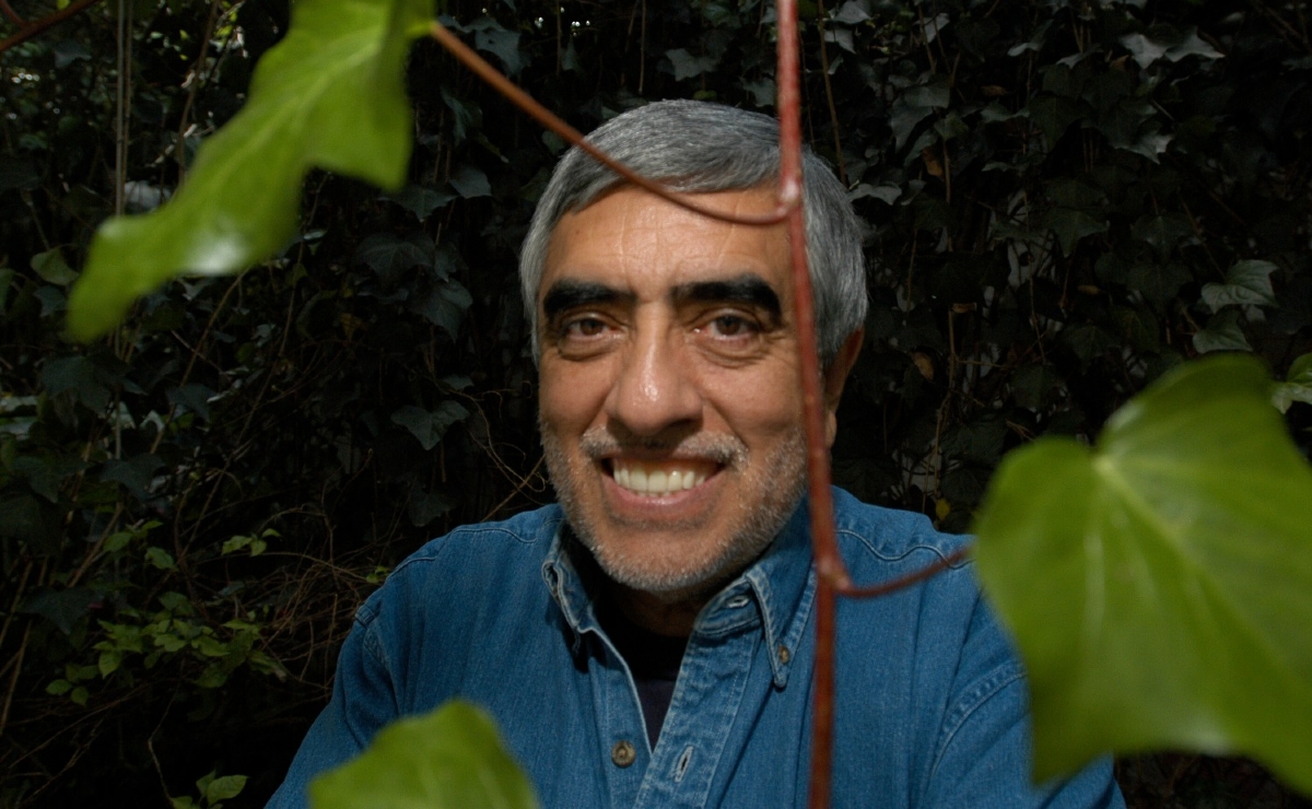 El escritor mexicano Gustavo Sáinz, representante de la llamada literatura de la Onda. (Foto: Octavio Hoyos)