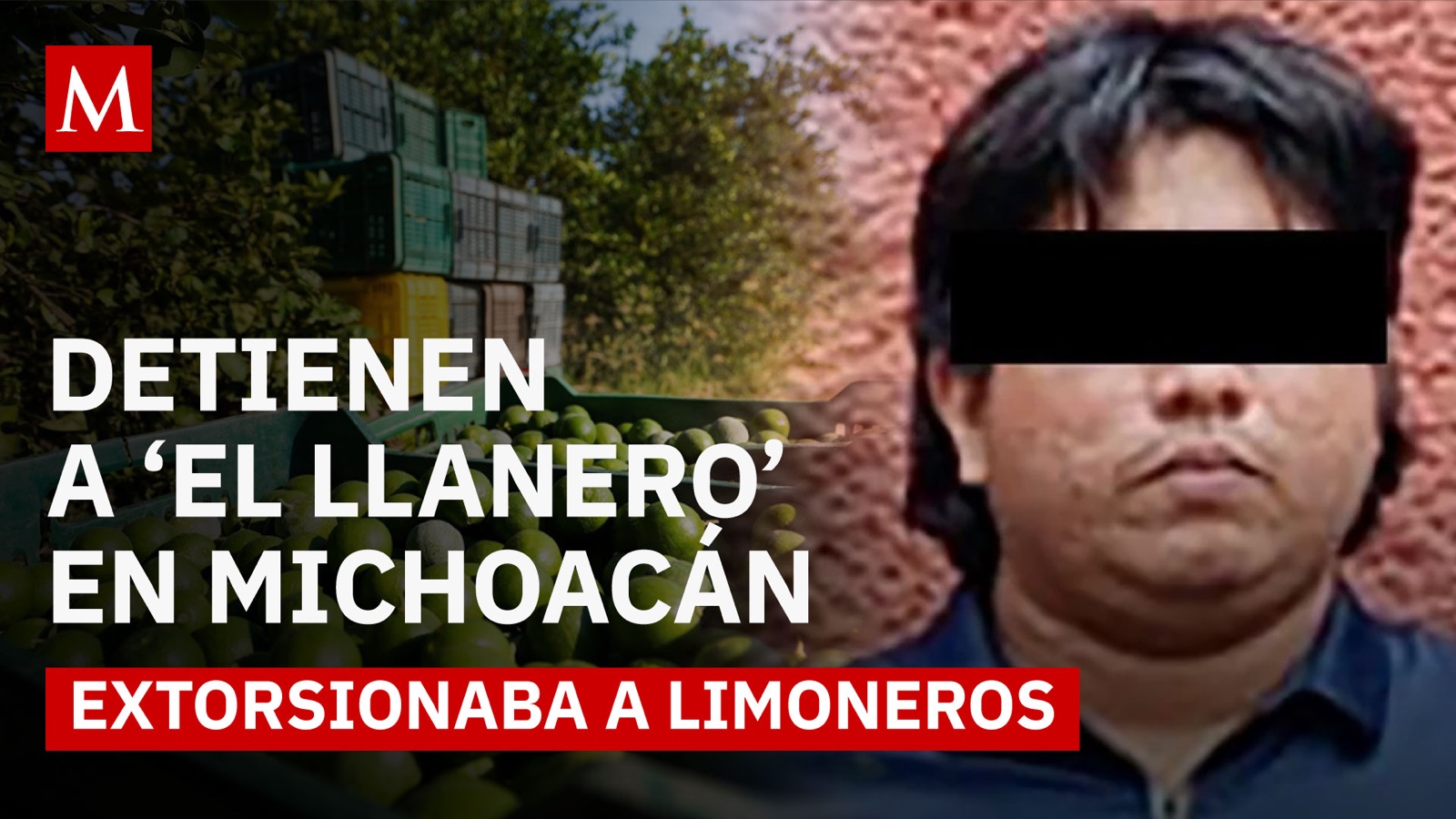 Golpe al crimen en Michoacán: cae presunto extorsionador 'El Llanero'
