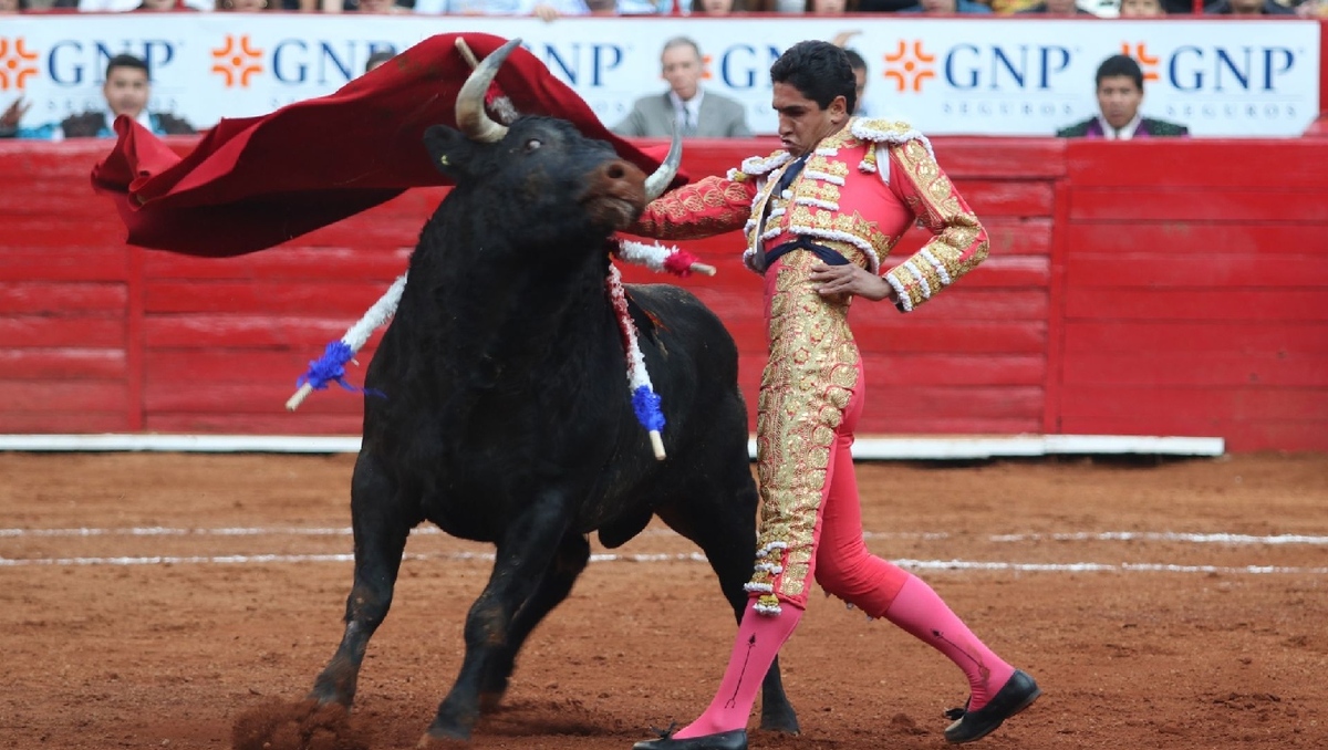 Los magistrados solicitaron a la Corte conocer el tema para fijar un criterio sobre las corridas de toros. | Cuartoscuro