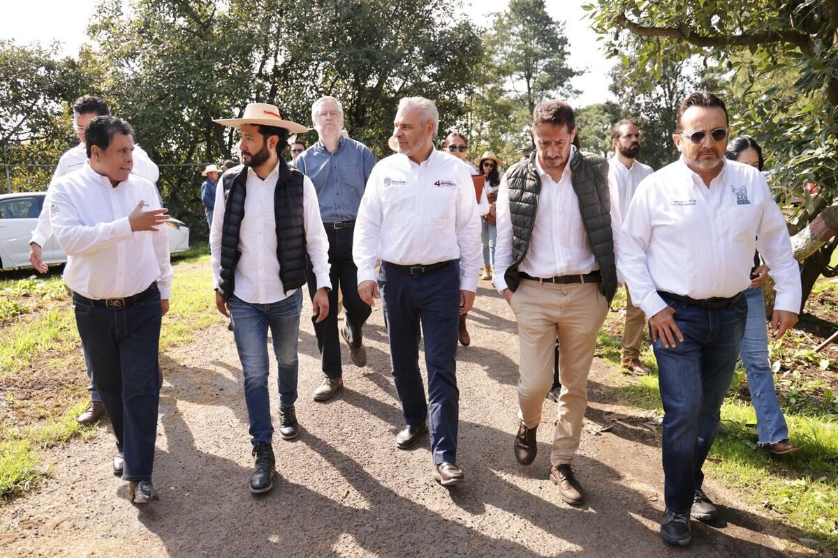 Michoacán encabeza producción agrícola nacional con aguacate, limón y berries | Especial