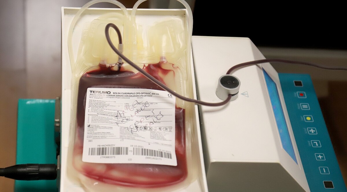 Donación de sangre | Foto. Rolando Riestra