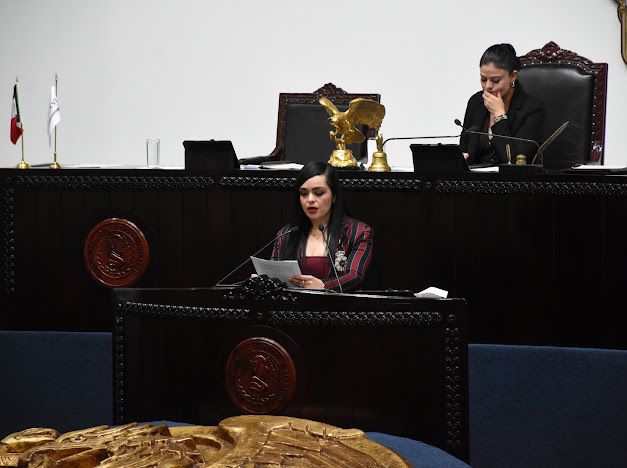 Paloma Barragán, diputada local. (Cortesía)
