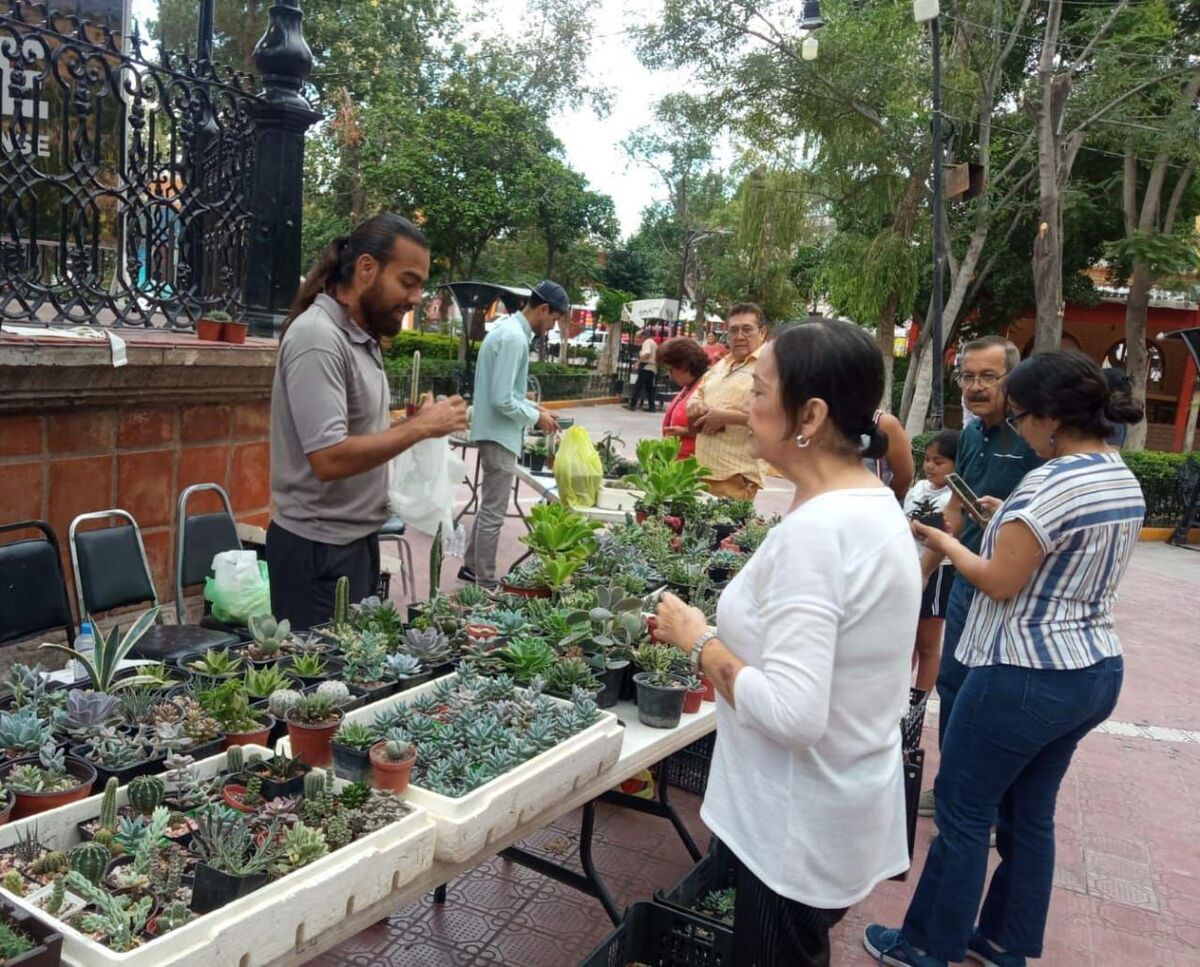 Celebran el Mes del Desierto Chihuahuense con mercadito de cactáceas. (Luis Alatorre)