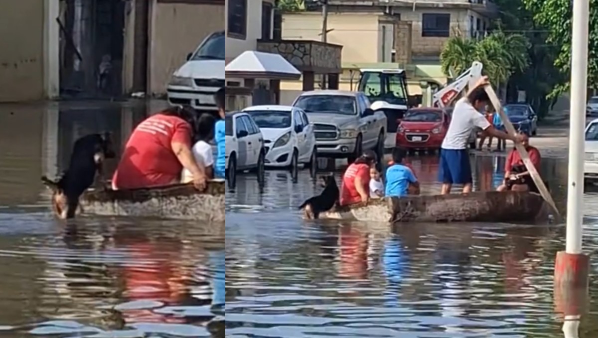 Video de perrito empujando lancha en inundación de Ciudad Madero