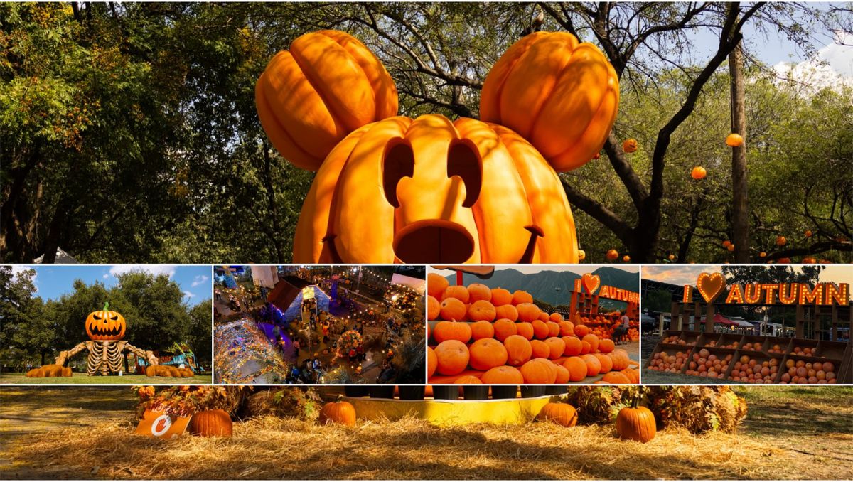 Celebra el otoño con diversas experiencias, actividades, música y set fotográficos | Especial