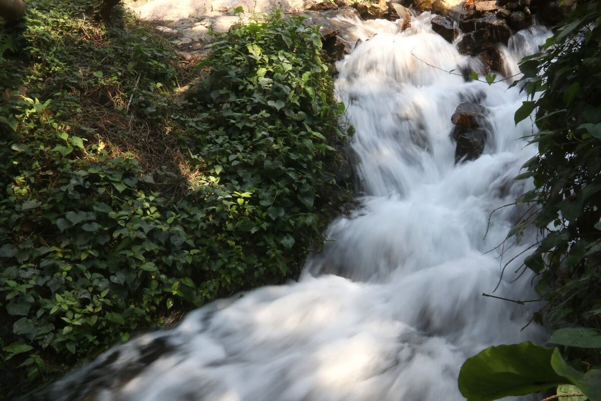 Elementos de rescate y Protección Civil participaron en la búsqueda del río Yautepec donde fue arrastrada Citlalli. | Cuartoscuro