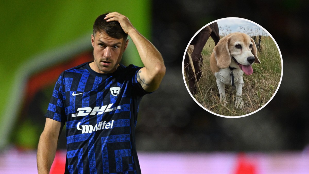 Aaron Ramsey anuncia que se perdió su perrito; ofrecen recompensa (Imago7)