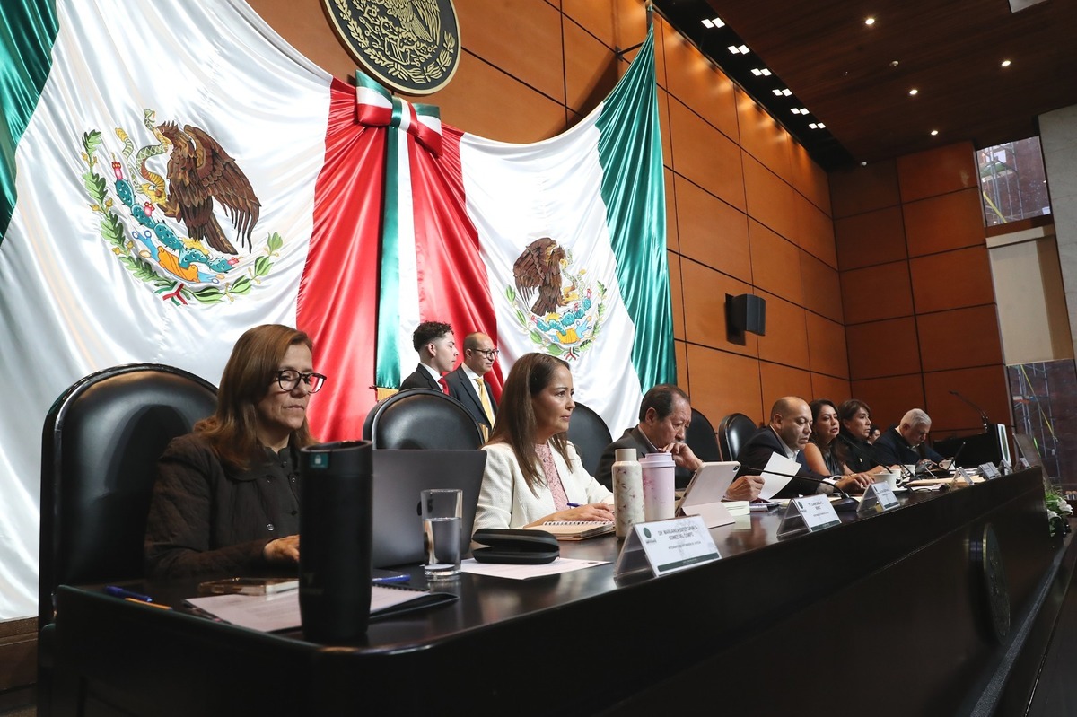 En la audiencia, los legisladores de Morena defendieron la propuesta de la presidenta Claudia Sheinbaum. | Especial