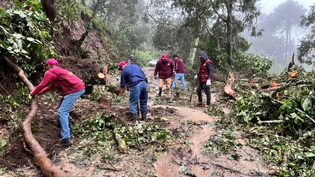 Continúan labores de limpieza tras afectaciones por lluvias en Hidalgo. (Cortesía)