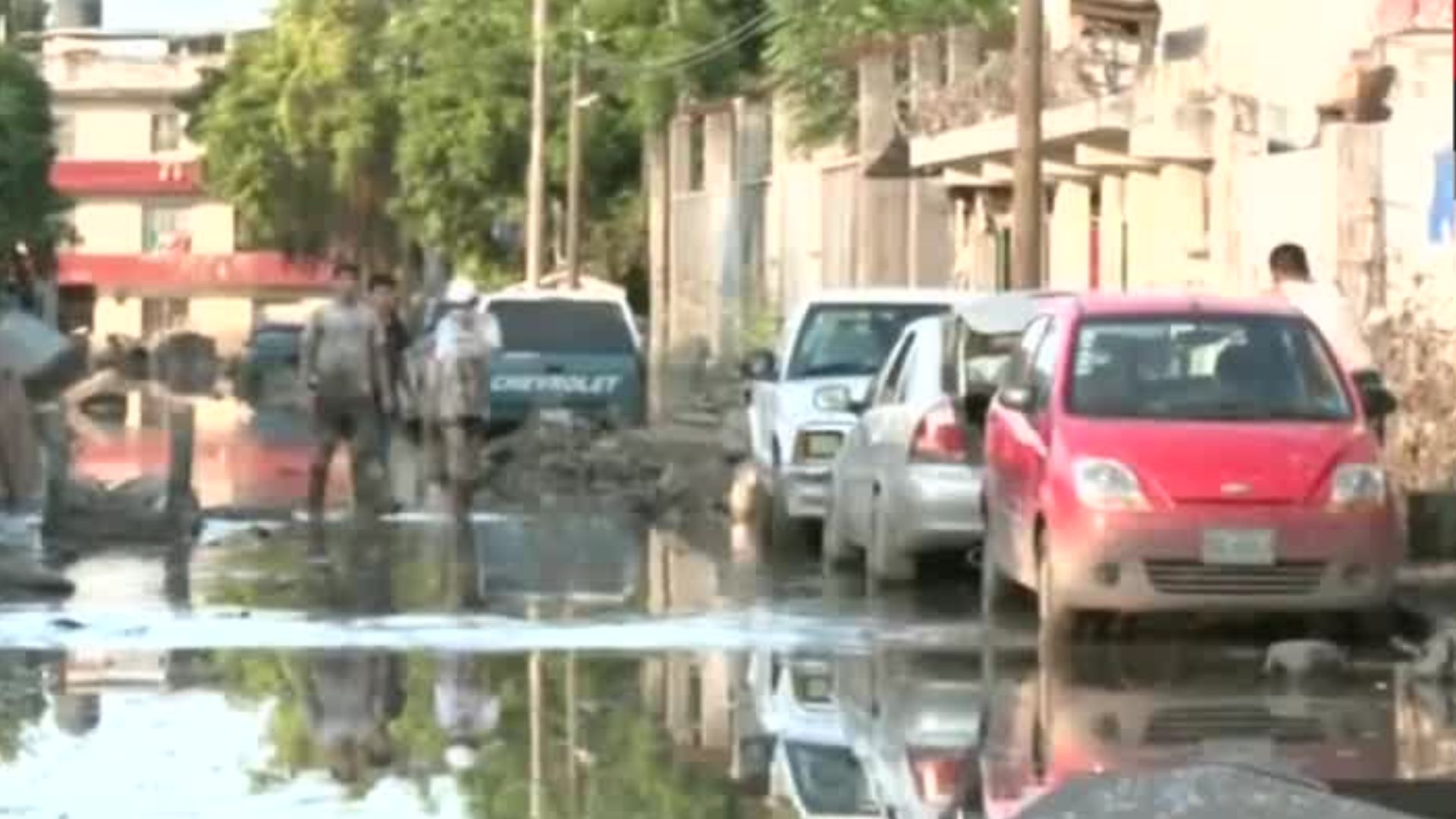 Tras las fuertes lluvias en Poza Rica, se presentan focos de infección y animales muertos