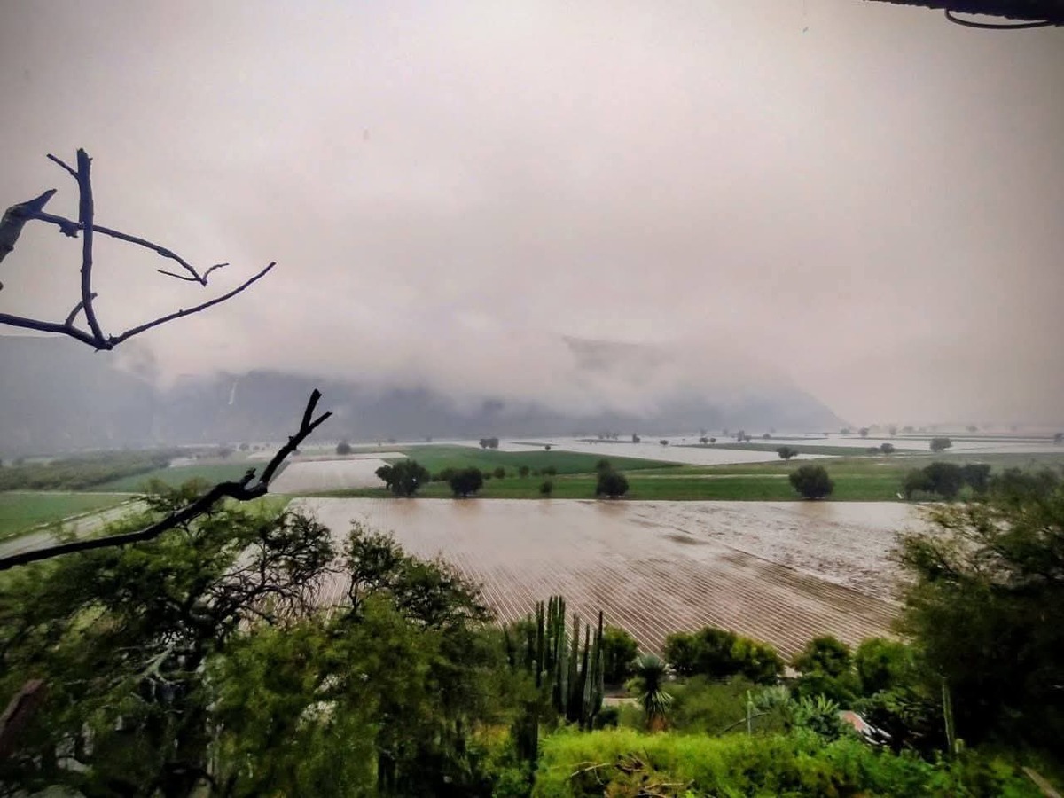 Más de 2 mil 800 campesinos afectados por las lluvias en Hidalgo, reporta SADERH