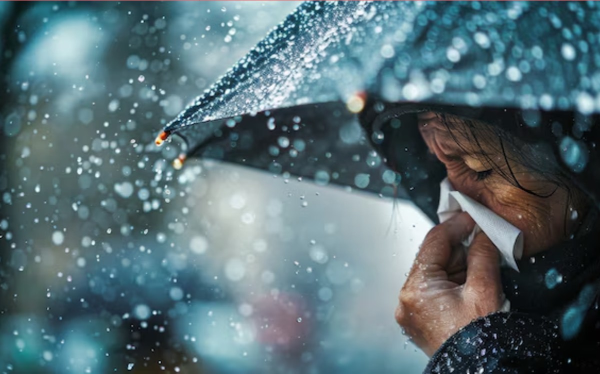 Frente frío provocará fuertes lluvias en Veracruz. | Freepik