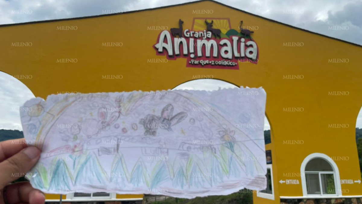 Granja Animalia: un sueño al borde del colapso por lluvias | Jesús Zavala