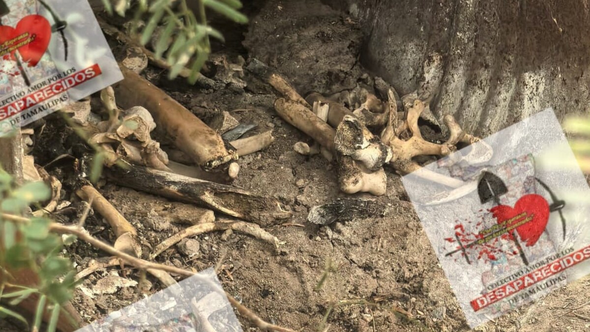 Hallan restos óseos calcinados en Tamaulipas durante operativo de búsqueda de desaparecidos