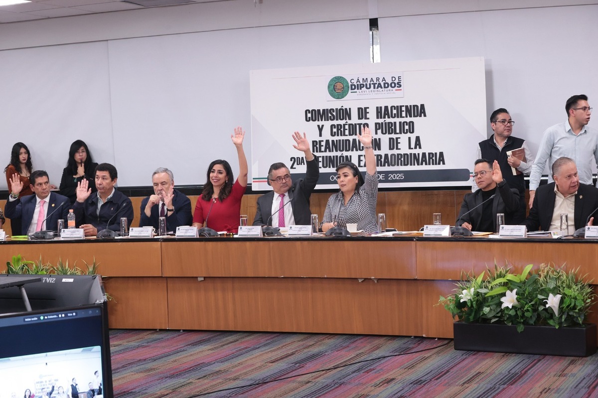La iniciativa fue aprobada por la Comisión de Hacienda de la Cámara de Diputados. | Especial