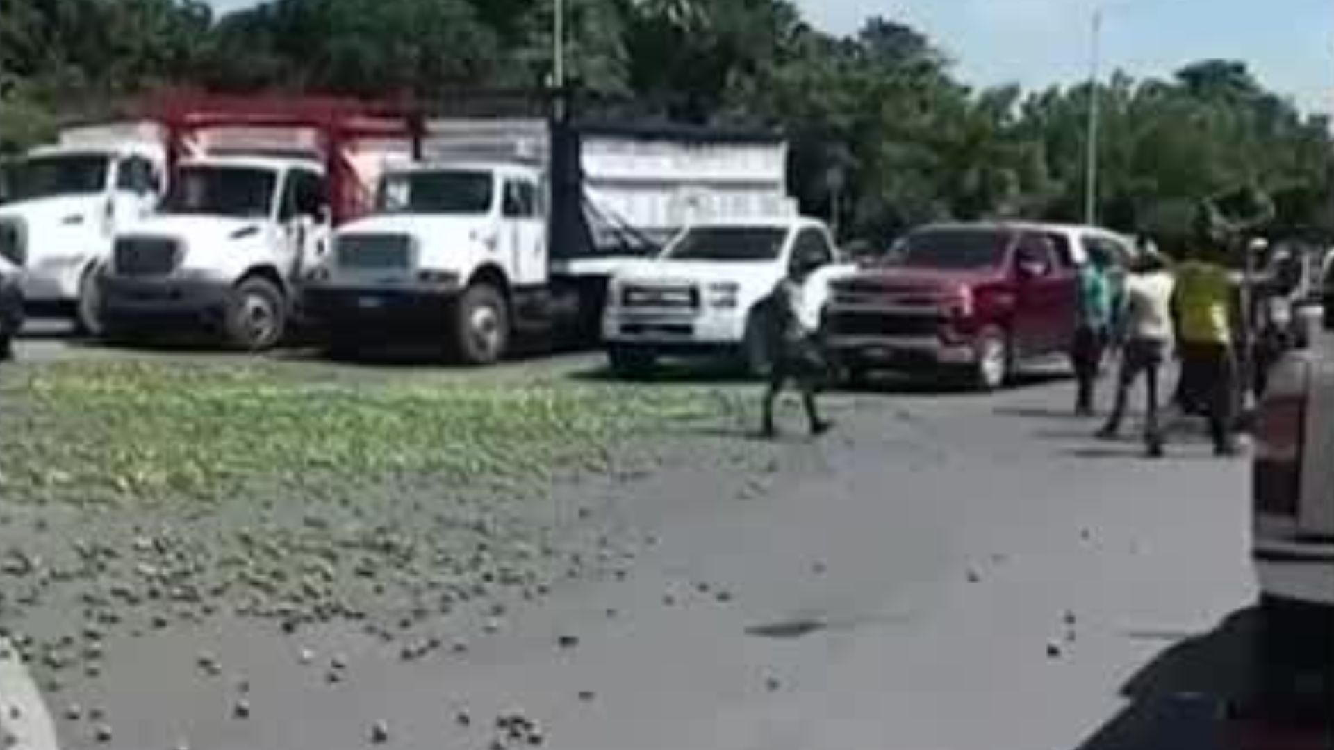 En Michoacán, limoneros tiran sus cosechas al suelo a modo de protesta