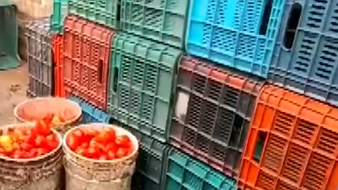 Productores exigen apoyos y mejoras para el campo en Michoacán
