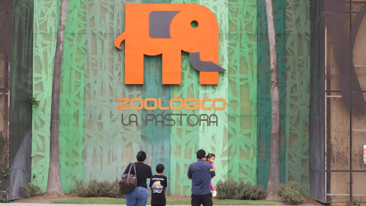 Los demás ejemplares que se encuentran en exhibición en La Pastora están en buenas condiciones | Luis Guerra