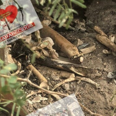 Hallan restos óseos calcinados en Tamaulipas durante operativo de búsqueda de desaparecidos