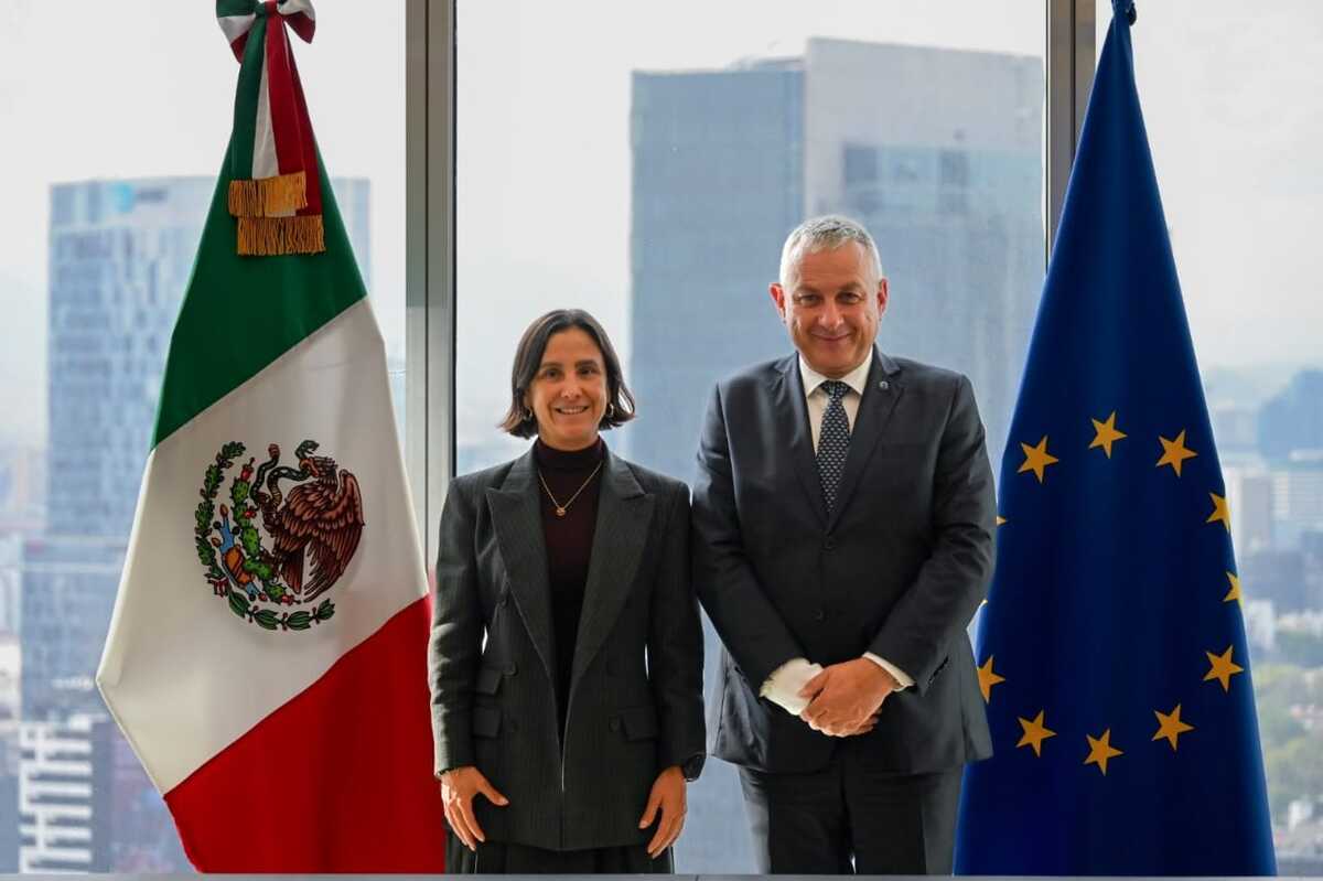 Luz Elena González, secretaria de Energía, durante reunión con Jozef Síkela. | Especial