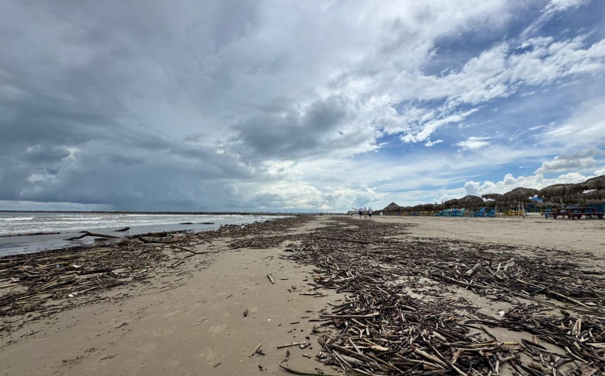 Palizada en Playa Miramar afecta el paso a visitantes. | Mario Juárez
