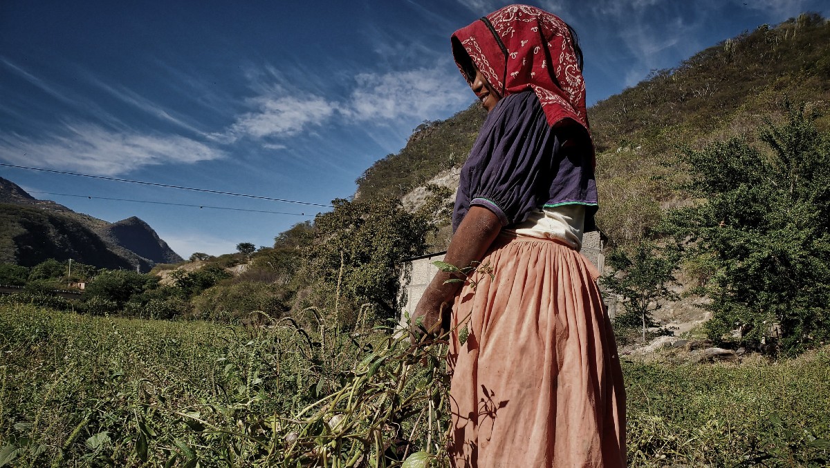 Pese a su contribución, las mujeres rurales no cuentan con apoyos especializados a ellas (Cortesía Sedeco Jalisco)