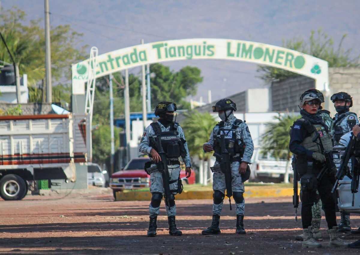 Tianguis Limonero de Apatzingán | Especial