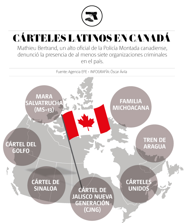 cárteles latinos