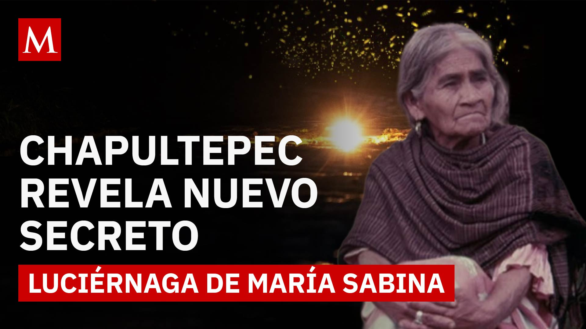 Chapultepec revela un secreto luminoso: una nueva luciérnaga en honor a María Sabina