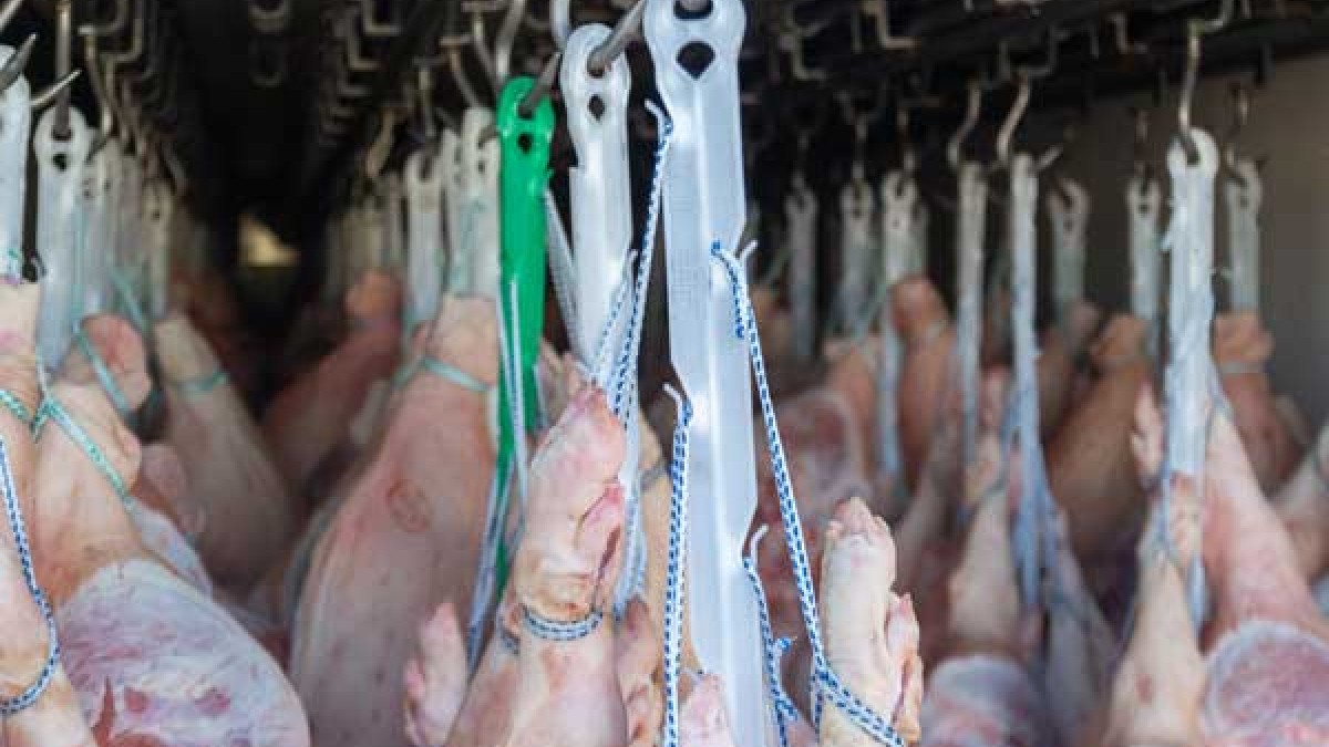 García Almanza reconoció que la inseguridad sigue afectando los costos de la carne. Foto: Shutterstock.