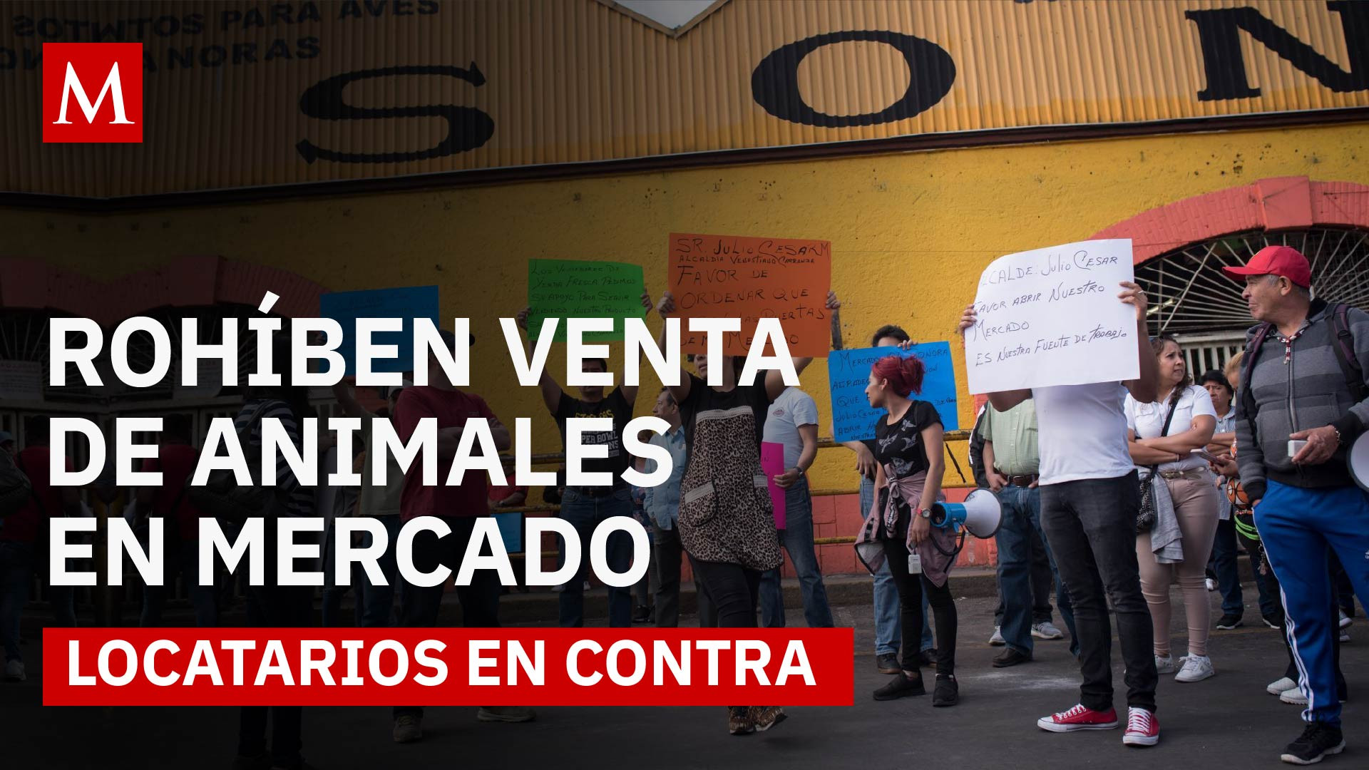 Mercado de Sonora: entre la tradición y la prohibición de venta de animales en CDMX