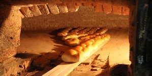 De origen europeo y corazón lagunero, el pan francés es más que un alimento: es símbolo de identidad, memoria y orgullo regional.