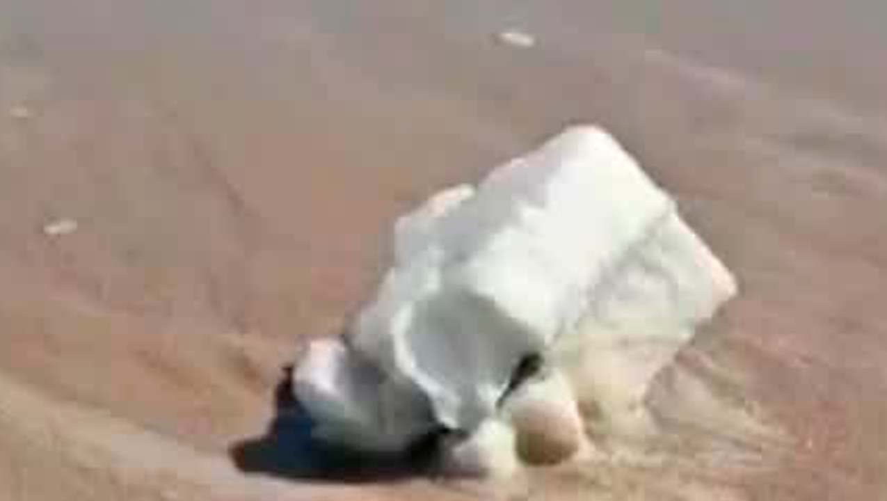 En Tamaulipas, reportan delfines muertos y llegada de basura espacial a playa Bagdad
