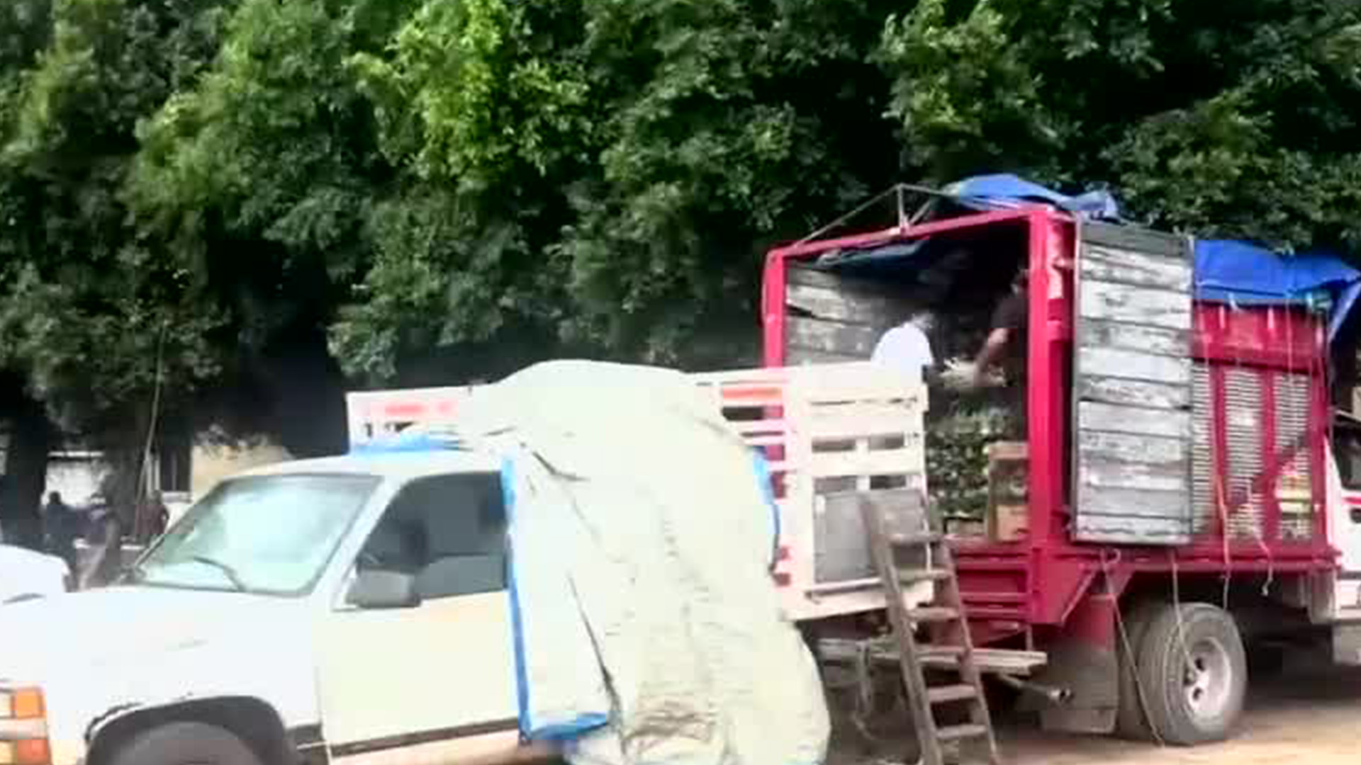 En Veracruz hay 50 desaparecidos en el Triángulo Piñero por reclutamiento forzado