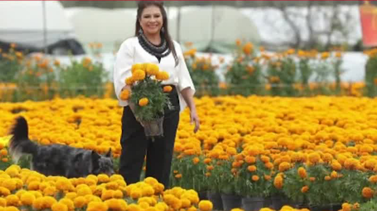 En la Ciudad de México, Clara Brugada presenta el evento "Sendero de las Almas"