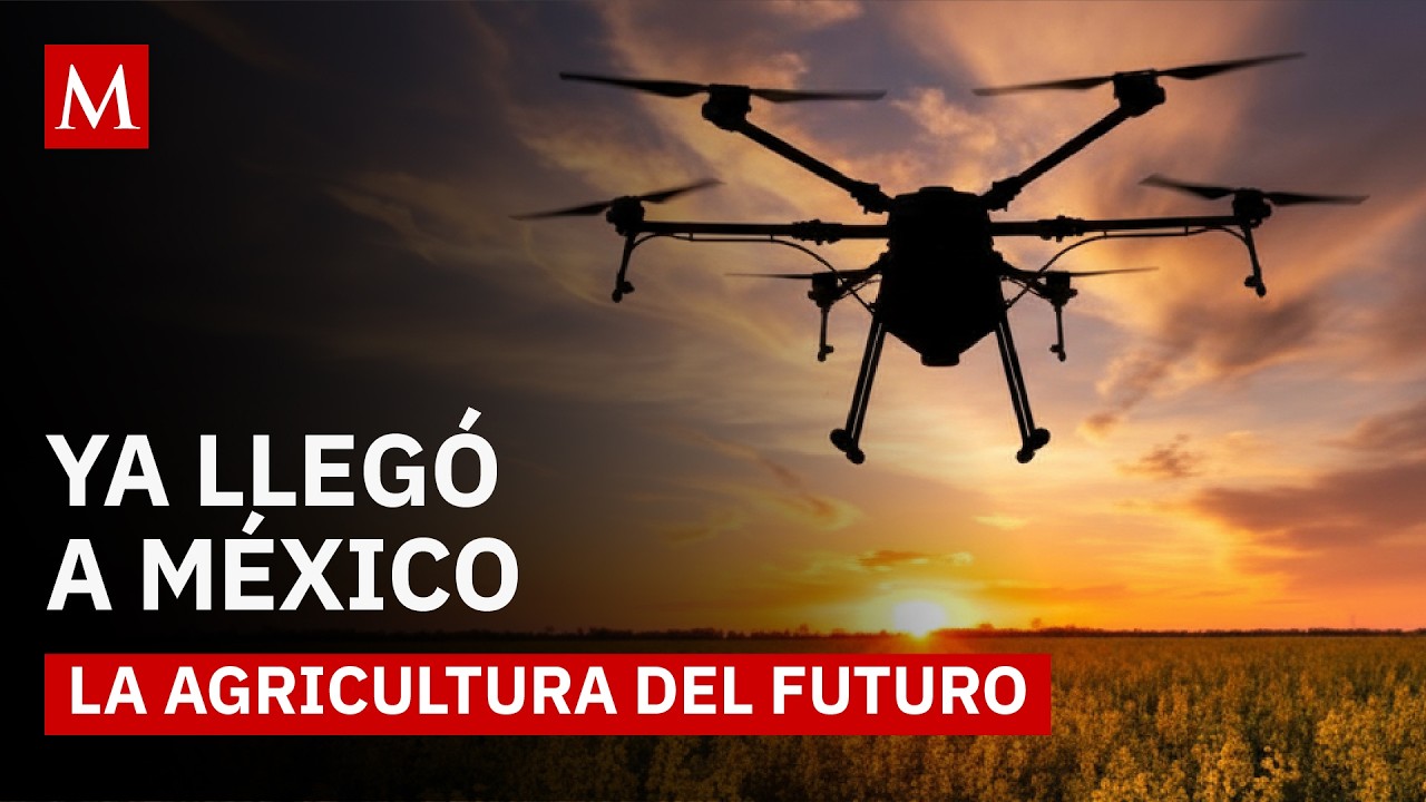 Drones agrícolas: la revolución que está cambiando el campo