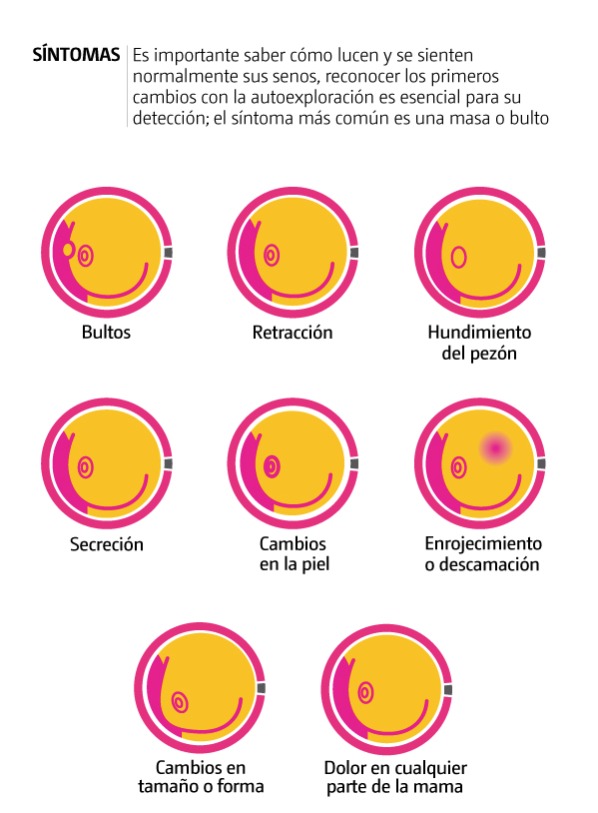 cambios en autoexploración