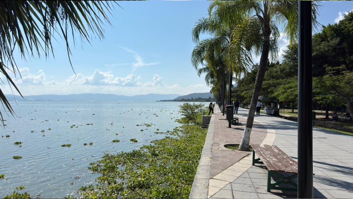 El Lago de Chapala ha alcanzado niveles no vistos desde hace 15 años, dijo el alcalde Alejandro Aguirre (Foto: Dalia Rojas)