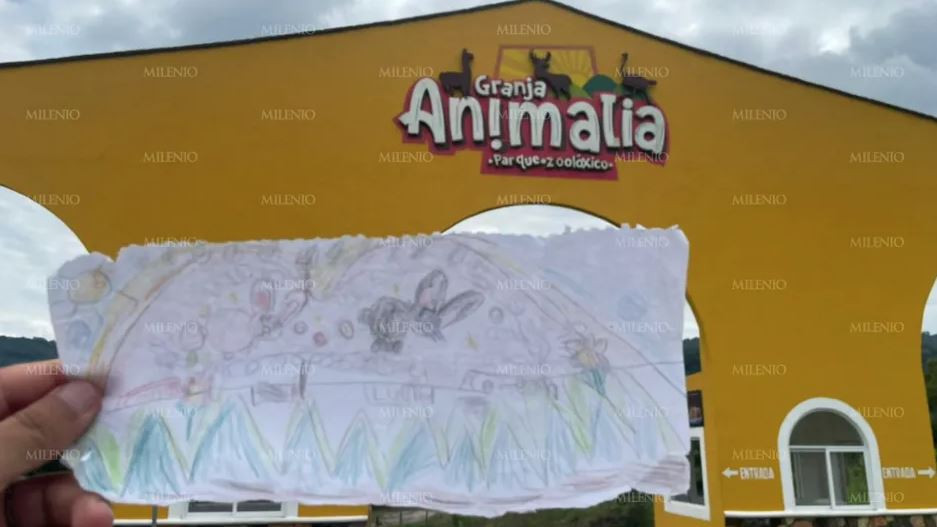 Zoológico de Puebla sufre daños por lluvias y evalúan trasladar animales