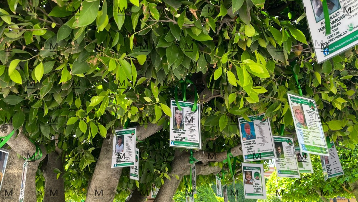 Colectivos reinstalan 100 fichas de búsqueda en el Árbol de la Esperanza en León.