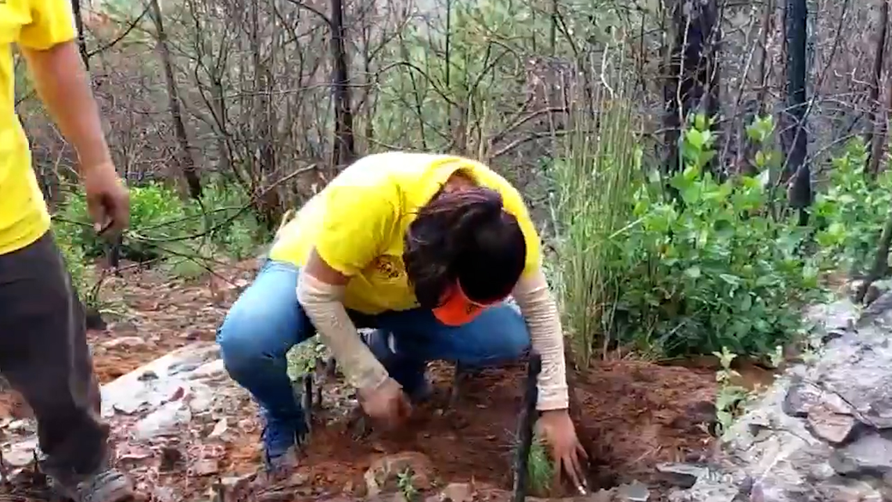 Comunidad de Tlaxcala busca reforestar el Cerro de San Gabriel tras incendio