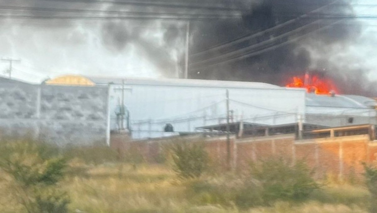 Incendio en empresa de aceites en León moviliza a bomberos.
