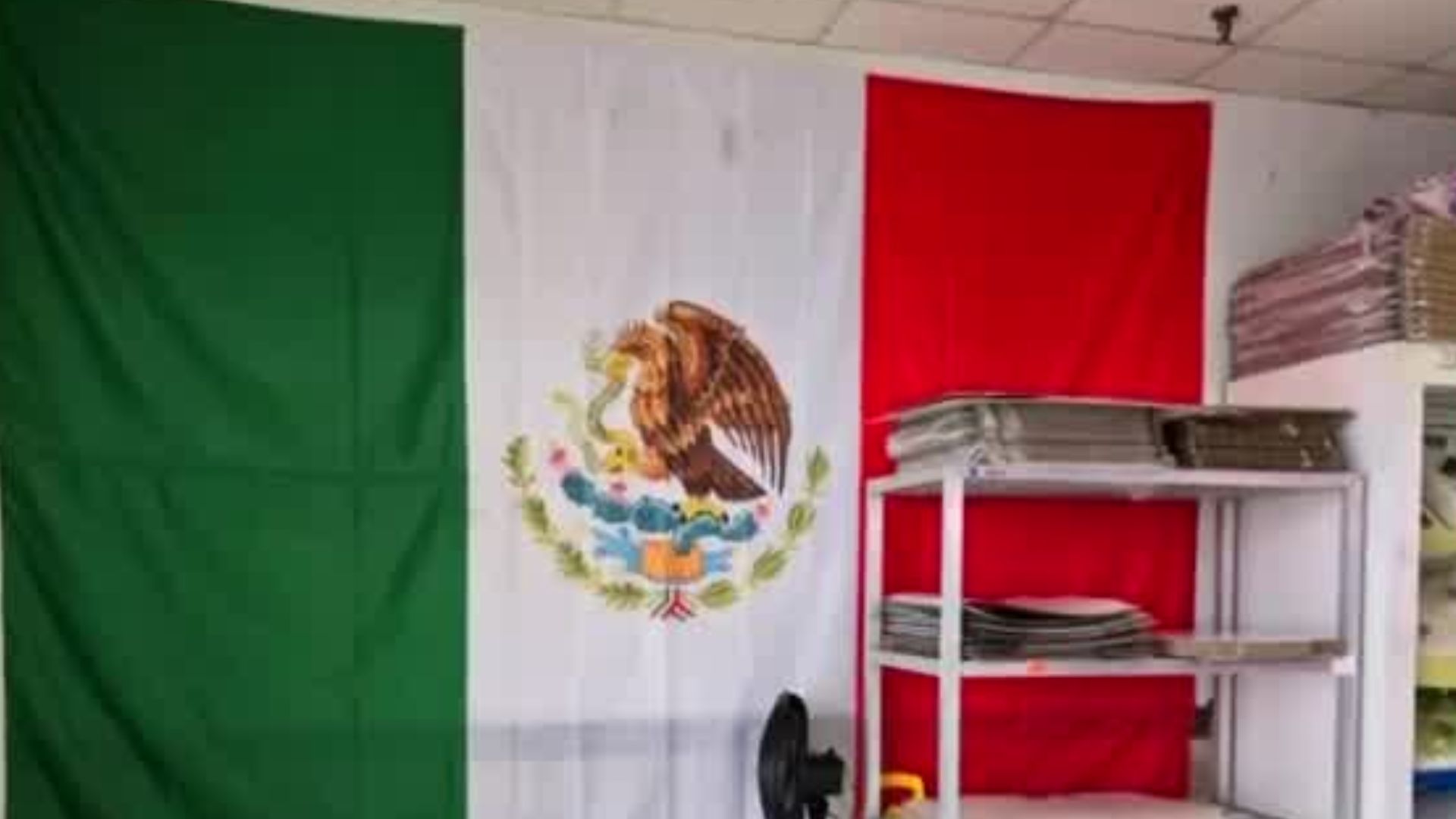 Crisis en negocios en Chicago por las deportaciones masivas de Estados Unidos