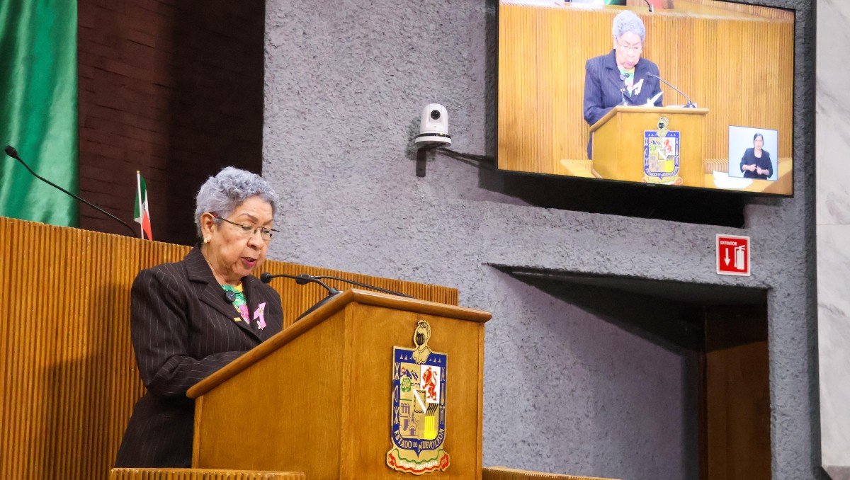 La diputada local de Morena, Reyna Reyes. Foto: Especial