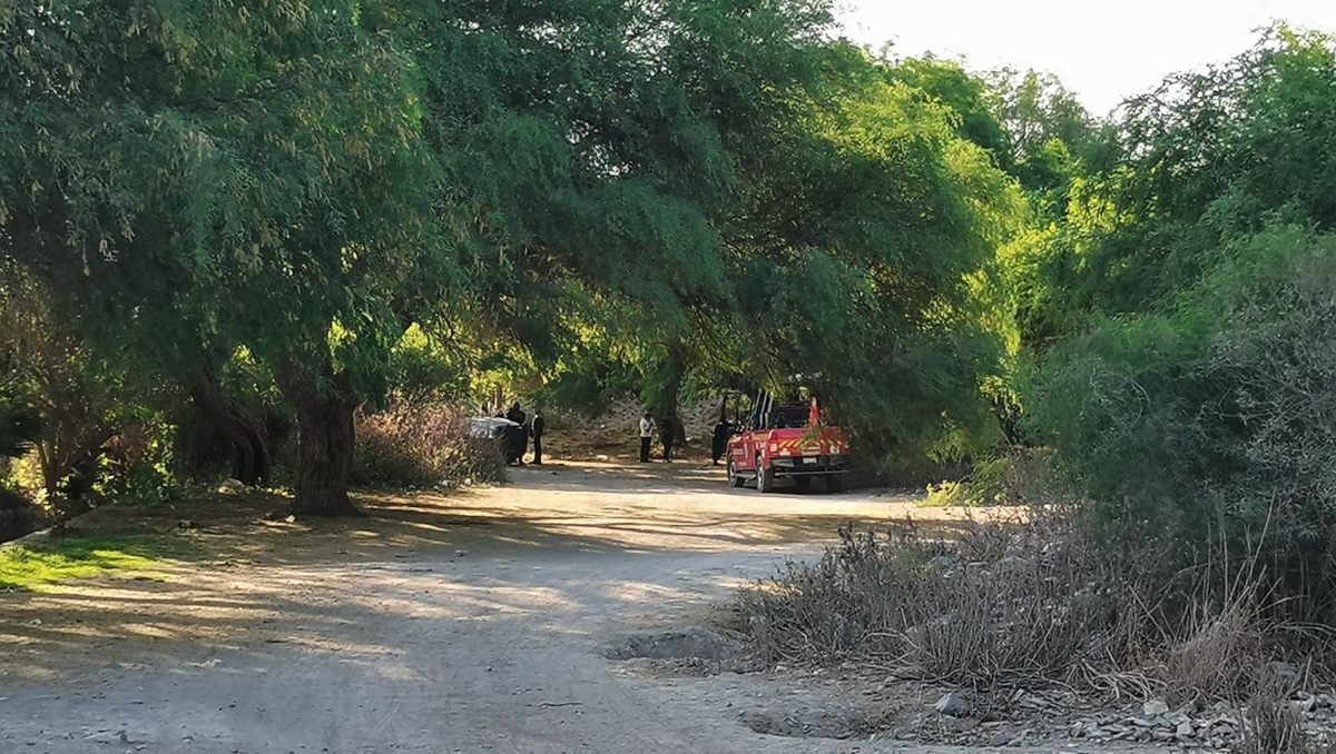 Encuentran a dos hombres asesinados en Miahuatlán | Especial