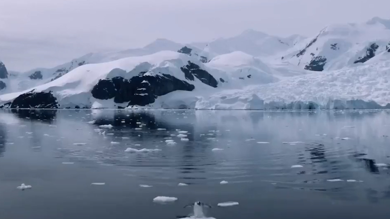 Hielo antártico muestra un derretimiento acelerado, alertan científicos