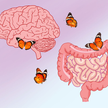 El intestino y el cerebro están conectados a través de un eje que impacta en nuestra salud. Shuttersrock.