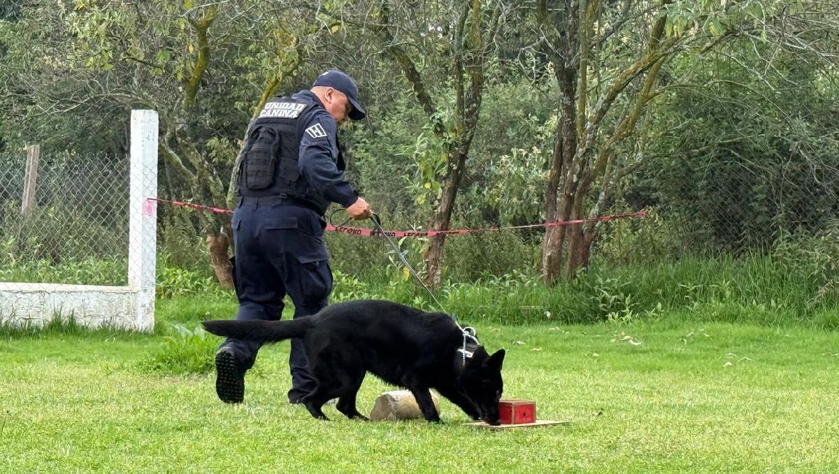 La Policía de Edomex capacitará a 56 elementos para poder manejar perros. Foto: (Mario C. Rodríguez)